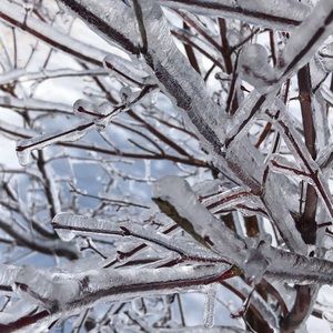 Meet your Posher, Tanya